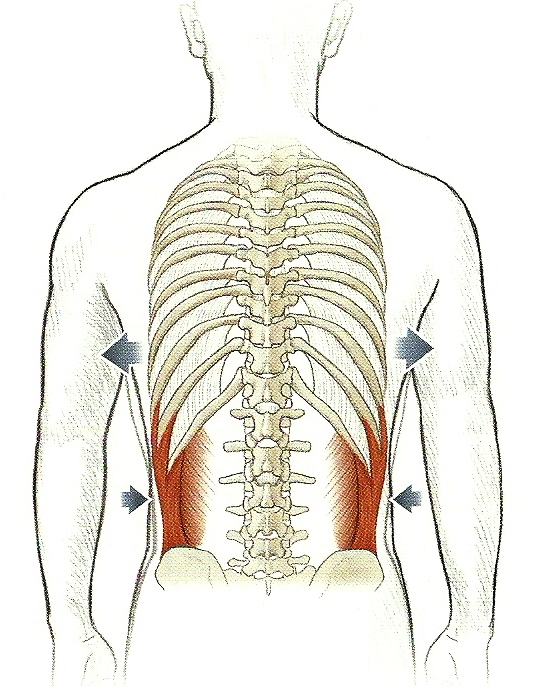 Болит спина отдает в ребра справа. Болит нижнее левое ребро. Спина справа.